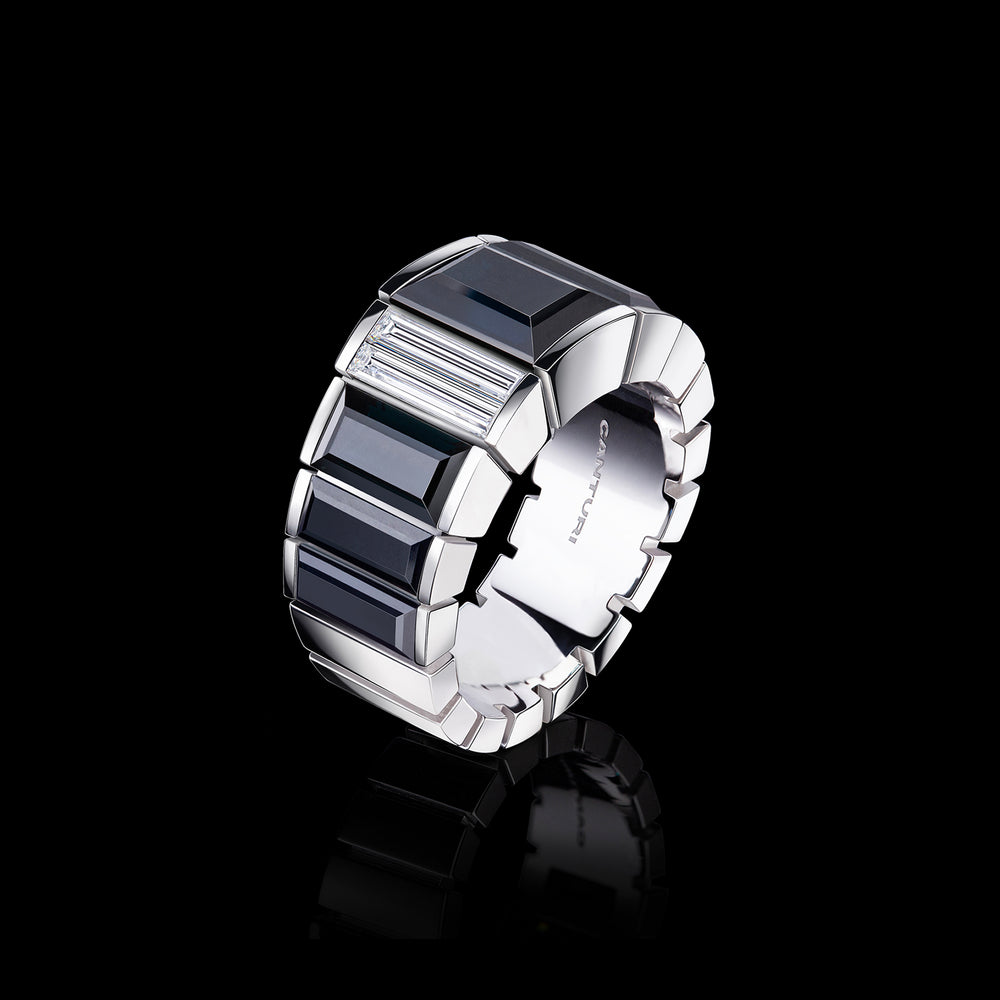 Eternal Royale diamond and Australian black sapphire ring set in 18ct white gold by Stefano Canturi.  Eternal Royale diamond and Australian black sapphire ring set in 18ct white gold by Stefano Canturi.